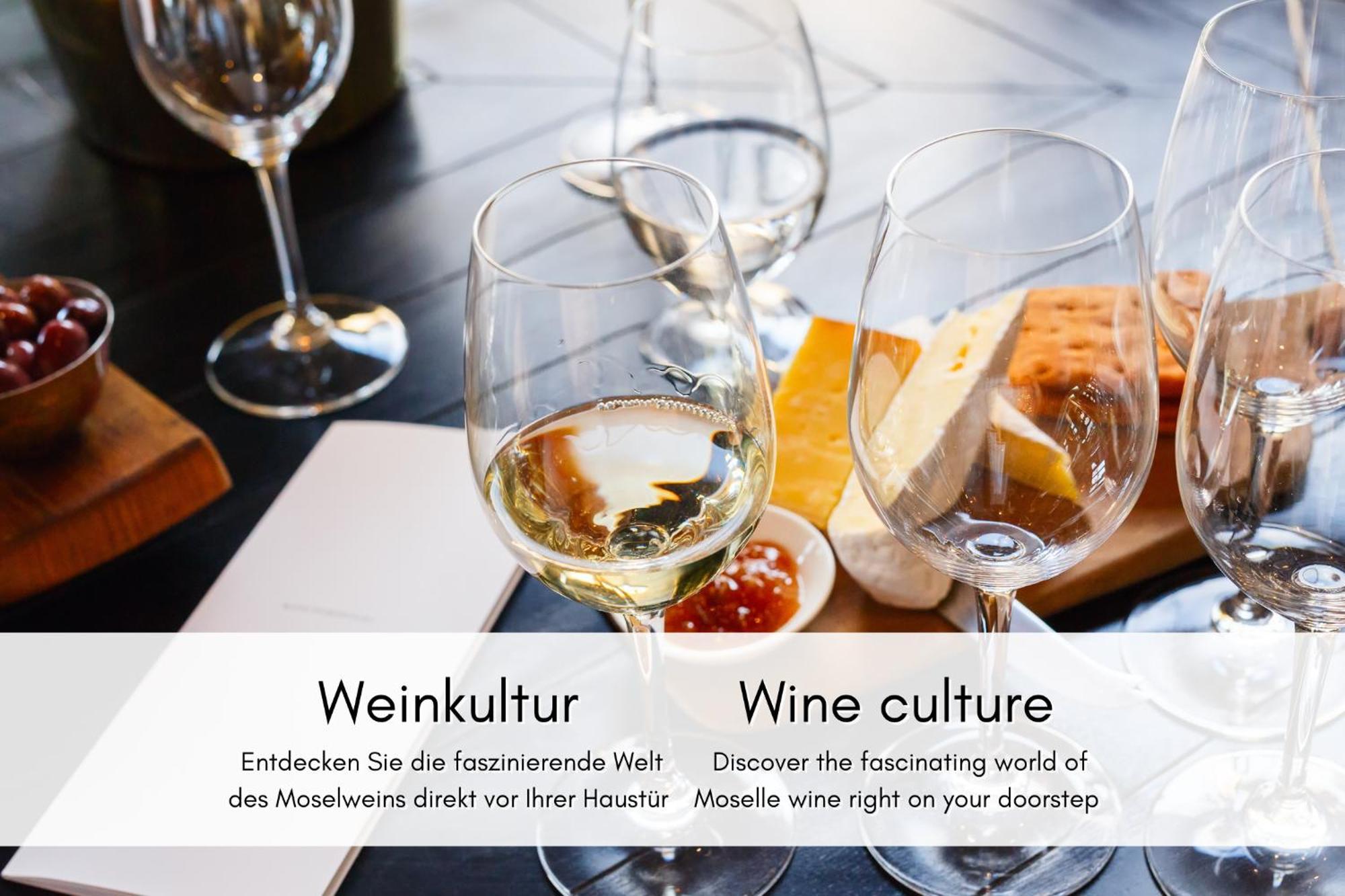 Appartamento Winzerhaus Am Calmont - Moselidyll Im Winzerhaus Bremm Esterno foto